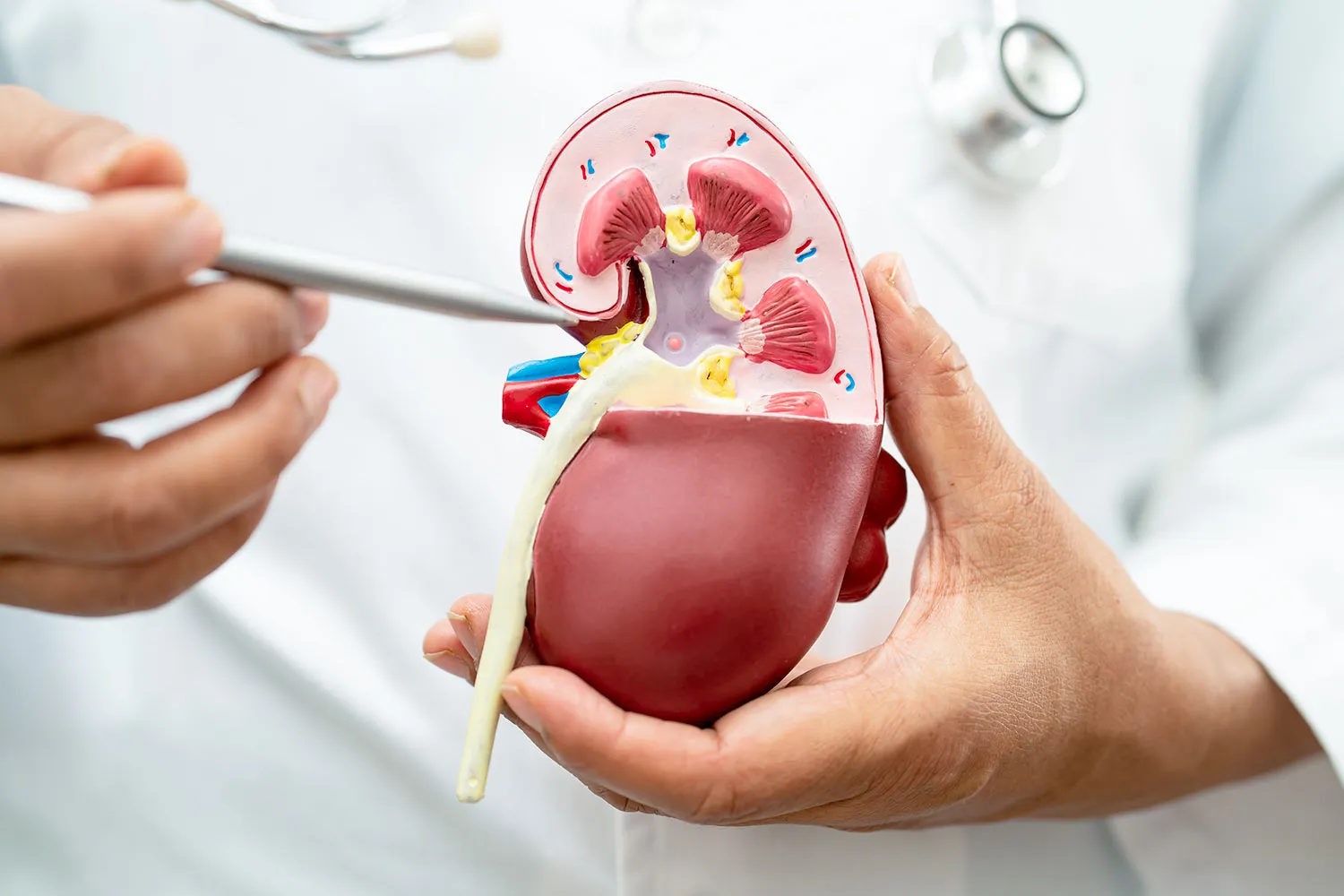Visita con nefrologo a Roma al Sanismart Medical Center